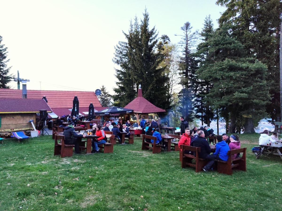 Brunarica Planika Mtb Point Maribor Ngoại thất bức ảnh